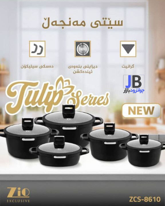 سرویس قابلمه 10 پارچه زیو سری ژولیپ مدل Zio ZCS-8610